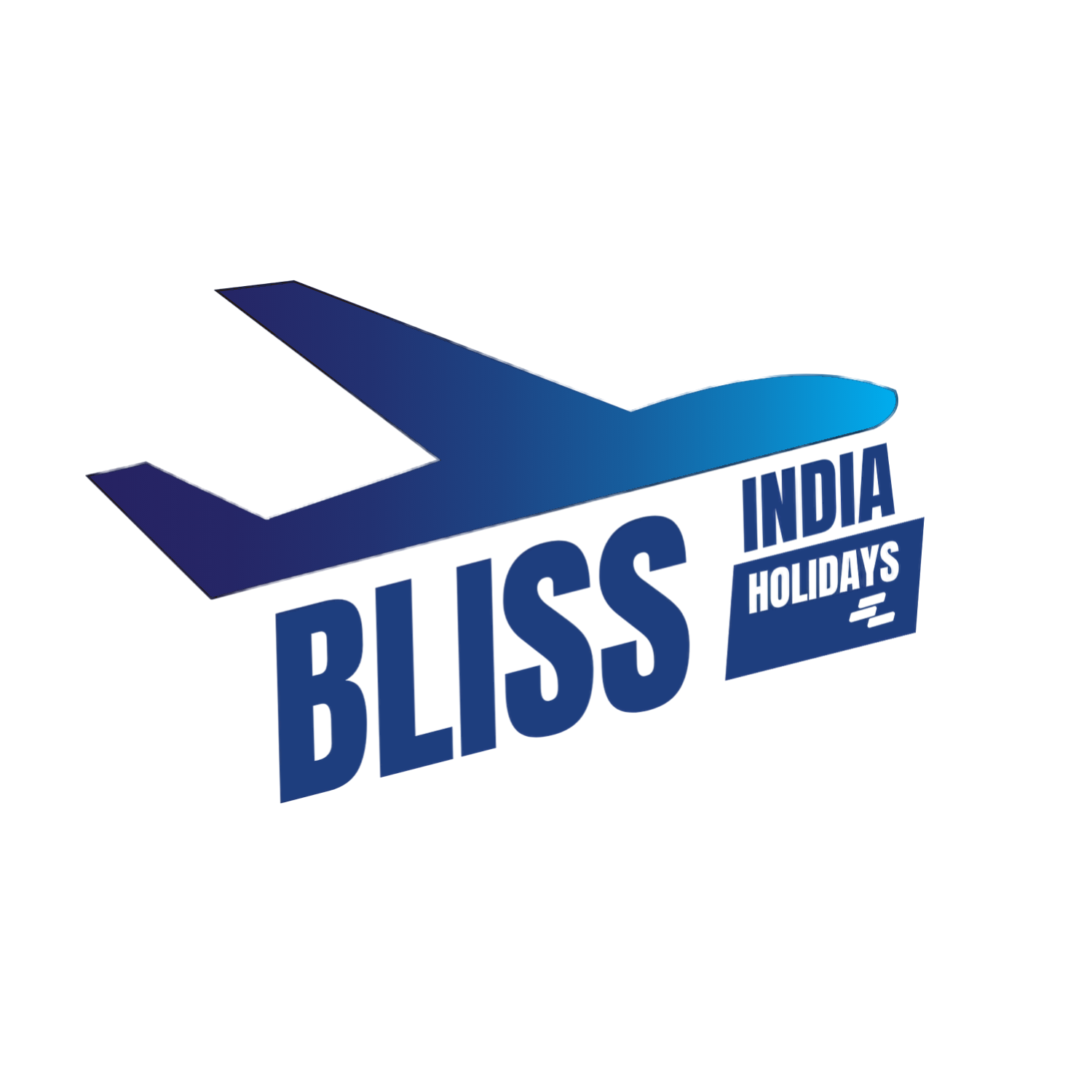 Bliss India Holidays